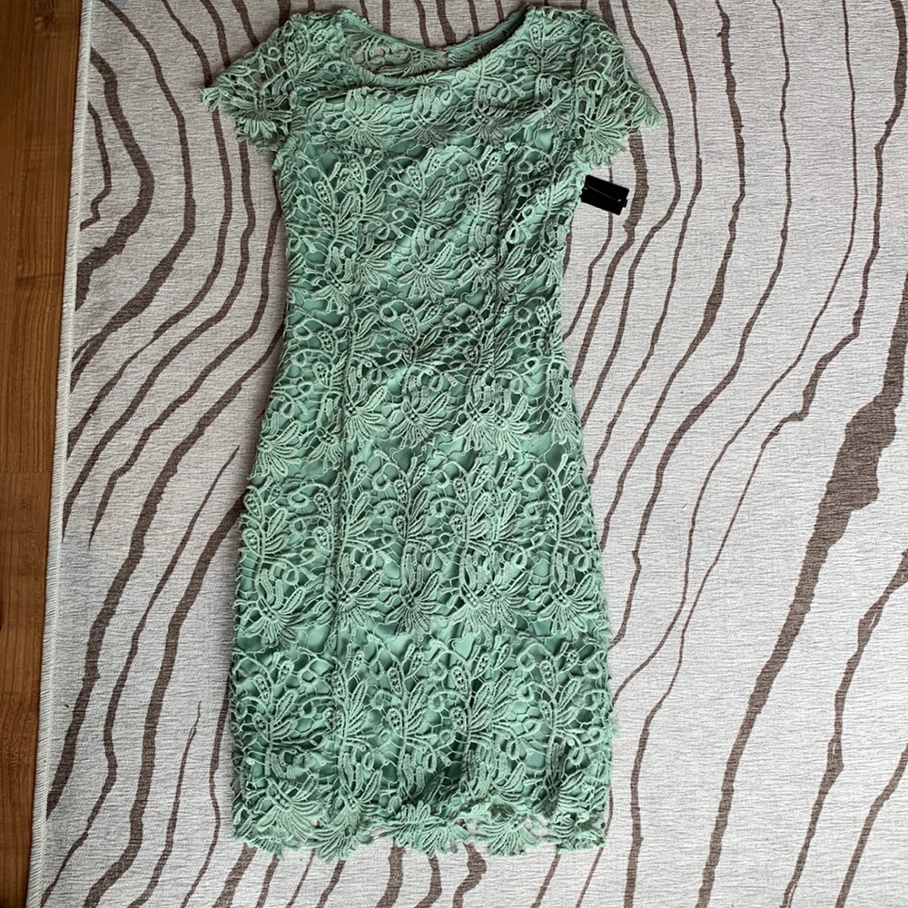 NWT Lulu's Backless Sage Light Green Mint Short Lace Dress (Size Small)